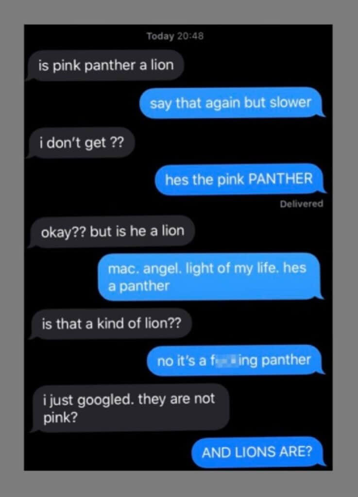 What kind of animal is the Pink Panther?