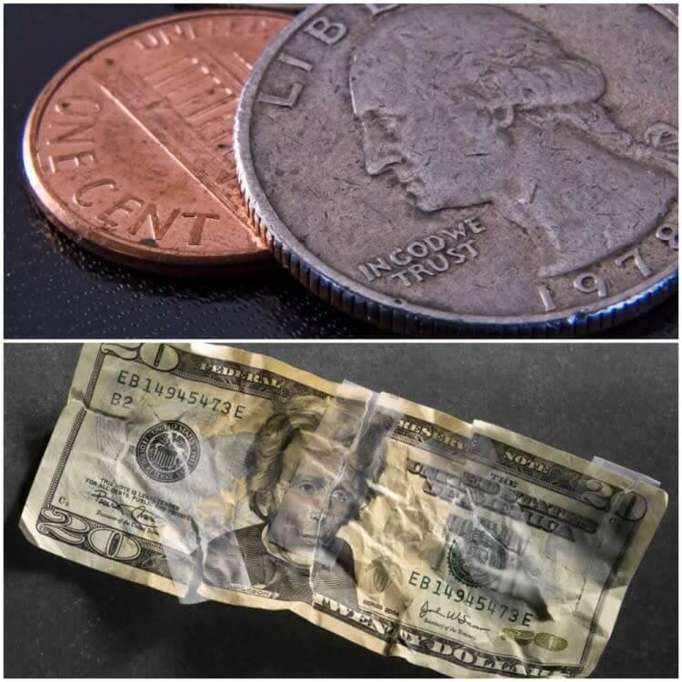 Coin Collectors