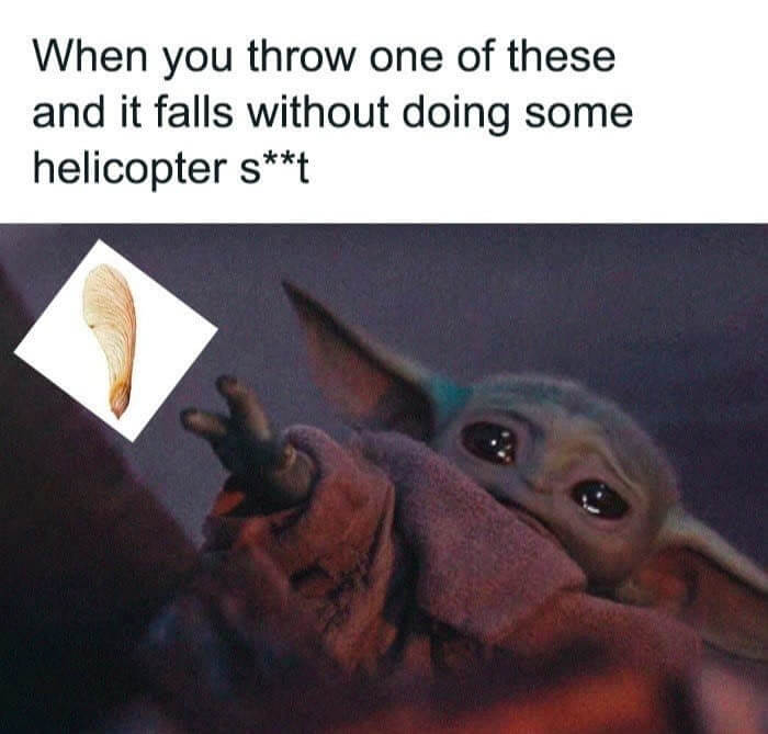 "Be Free Little Leaf"