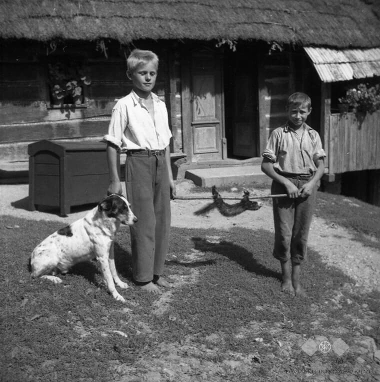 Slovenia: Children Go on Barefoot Walks and Birds Marry Each Other