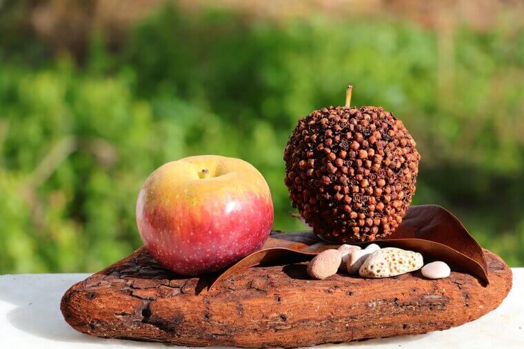 Iraq and Kurdistan: Decorating Apples