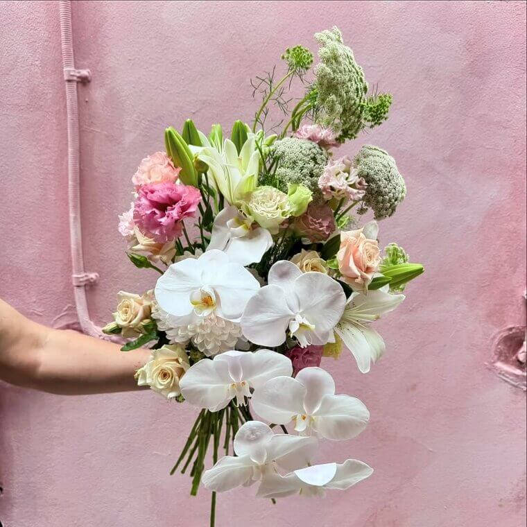 Peru: Orchids Instead of Roses