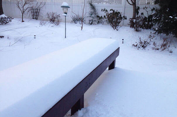 No One Dare Touch It!