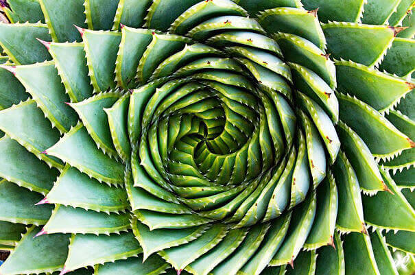Perfect Green Geometry