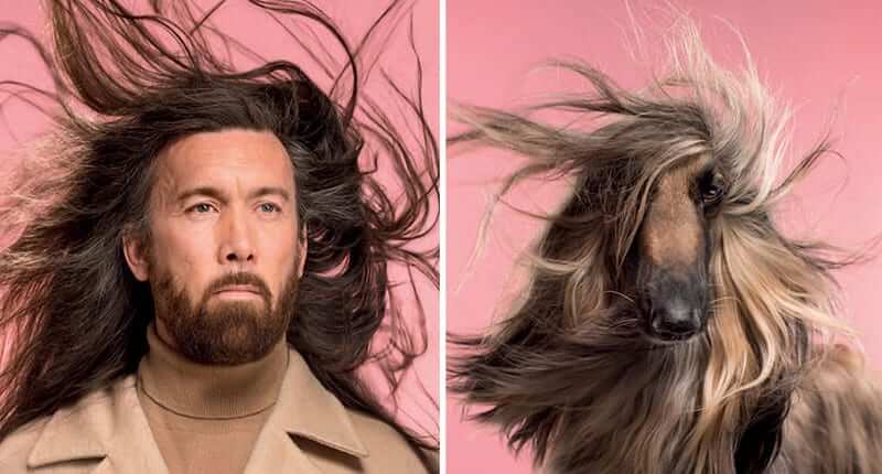 Dogs And Their Owners Are Put Side By Side By A Photographer, And The Resemblance Is Undeniable