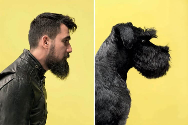 Cenk & Horst, The Schnauzer