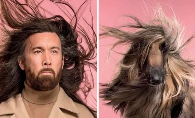 Dogs And Their Owners Are Put Side By Side By A Photographer, And The Resemblance Is Undeniable
