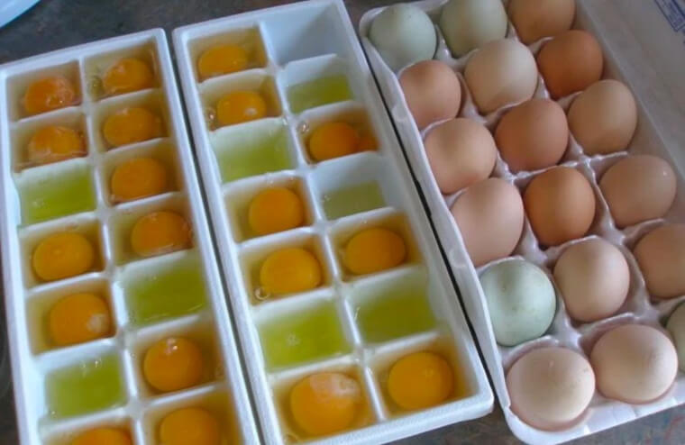 Les oeufs peuvent être congelés