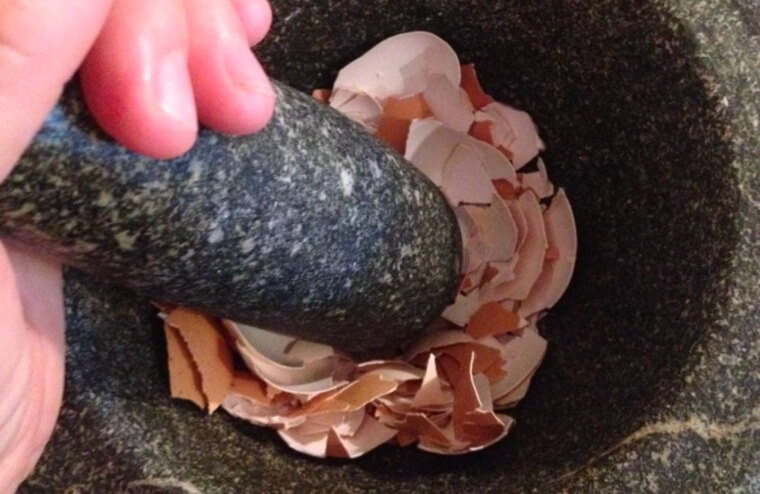 Les coquilles d'œuf peuvent être utilisées pour nettoyer les casseroles