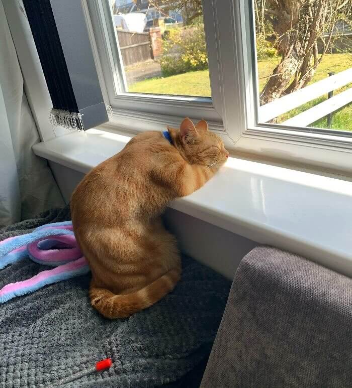 Vogelbeobachtung ist anstrengend