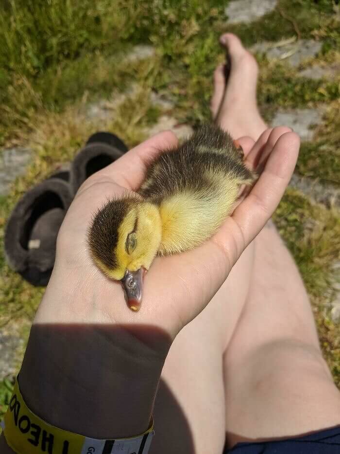 Ein quakendes Nickerchen