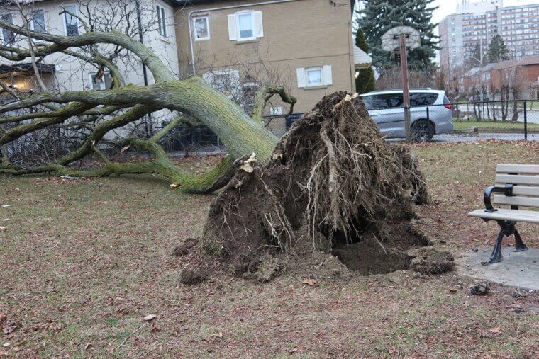 Tornadoes Can Form in Cold Weather