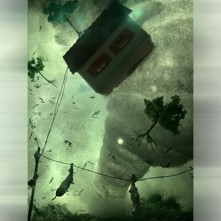 Tornadoes Have Been Known to Toss Cows – Really