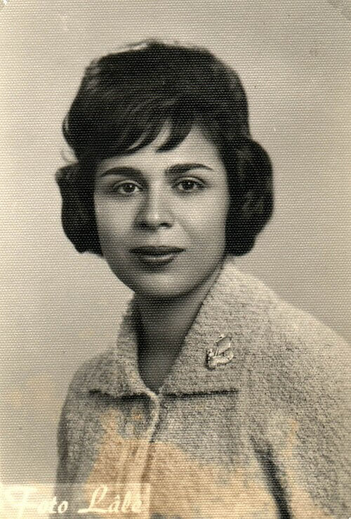 The 1960s "Beehive Hairdo": The Architectural Marvel of Hairspray