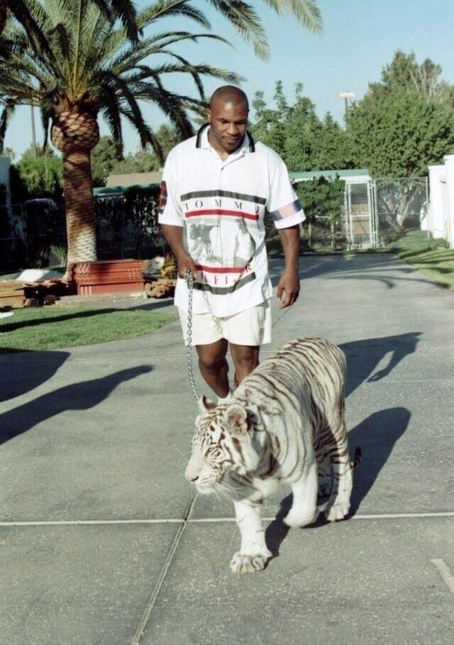 Mike Tyson — 1990s