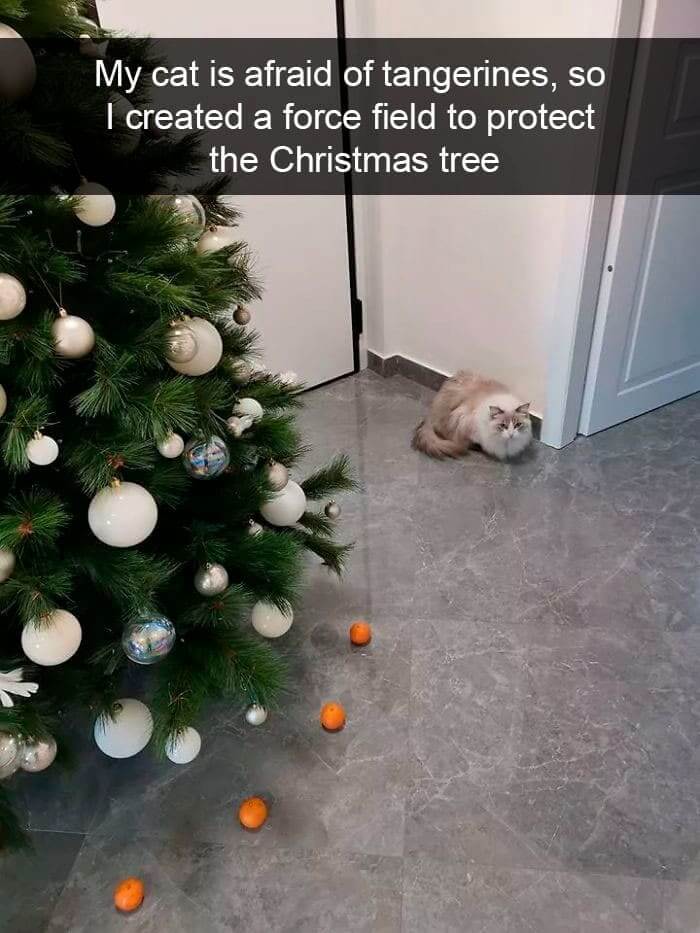 "I Will Find A Way To Get To That Tree"