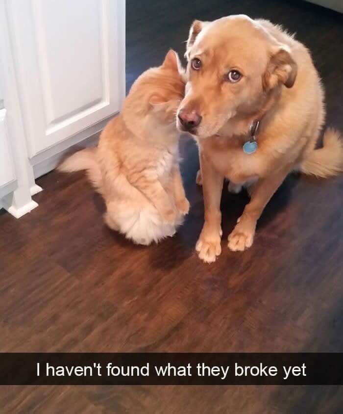 "Is She Still Looking?"
