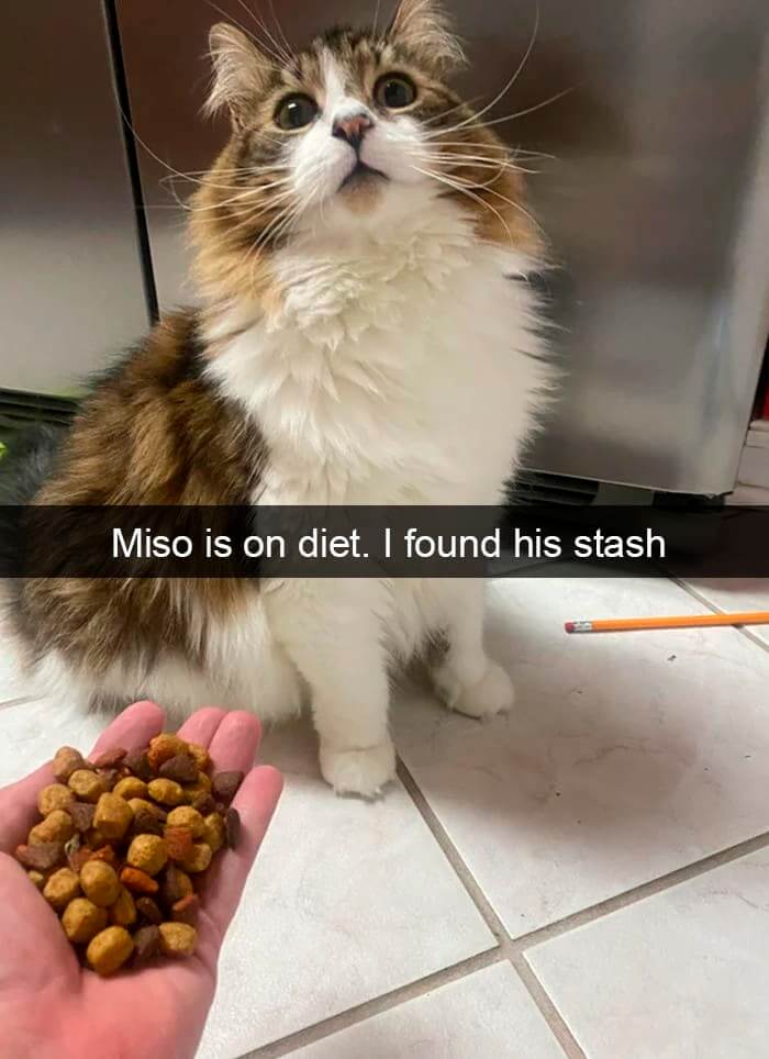 "That's Not Mine!"