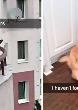 Hilarious Cat Snapchats That Will Bring A Smile To Your Face