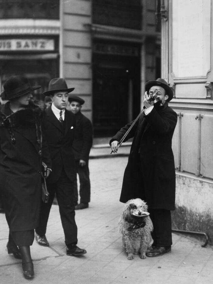 Violinist With His Dog