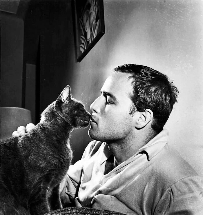 Marlon Brando and His Cat