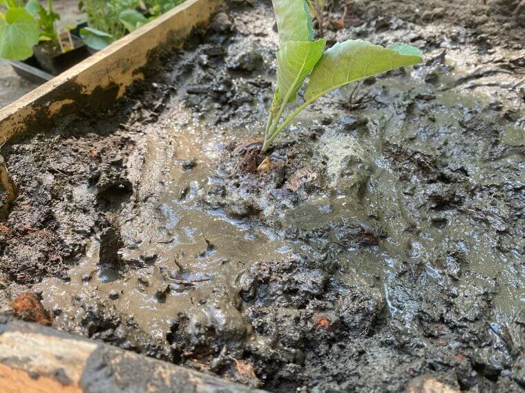 Making Potions in the Garden