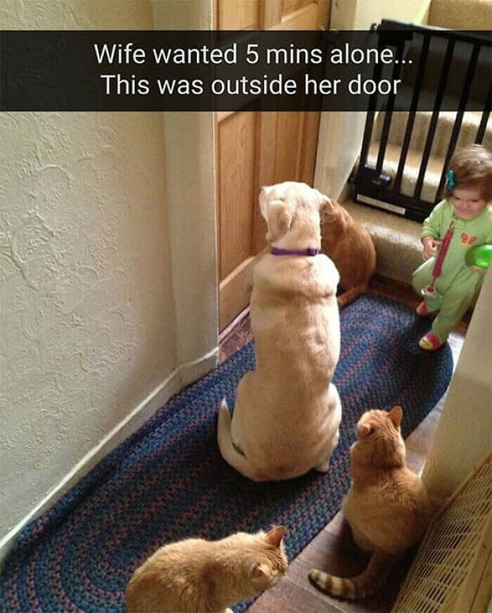 Mom? Mooooooooommmmm???