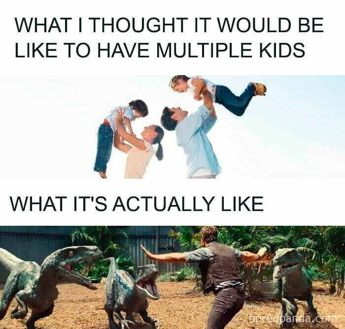 At Least The Raptors Are Trained