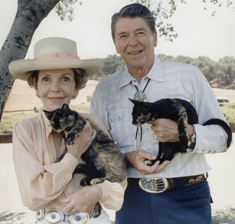 Ronald Reagan - Stray Cats