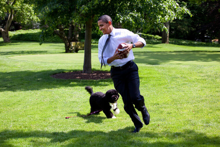 Barack Obama - Portuguese Water Dog