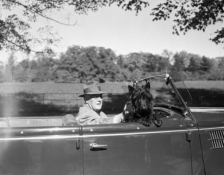 Franklin D. Roosevelt - Scottish Terrier