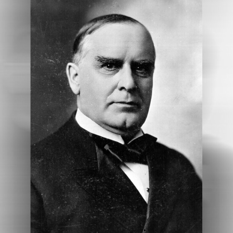 William McKinley - Parrot and Roosters