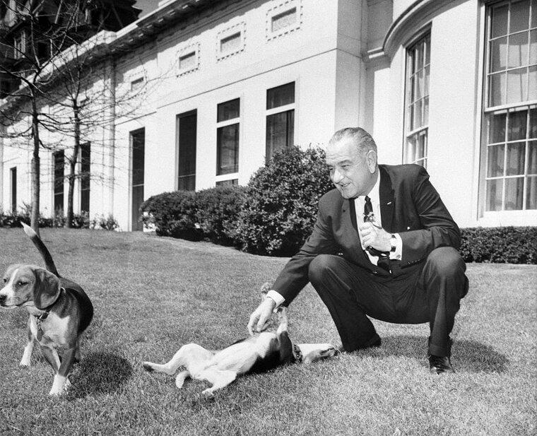 Lyndon B. Johnson - Beagles