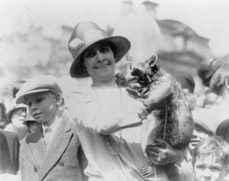 Calvin Coolidge - Racoon