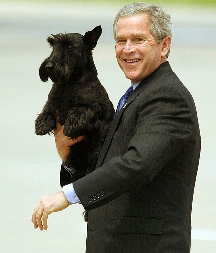 George W. Bush - Scottish Terrier