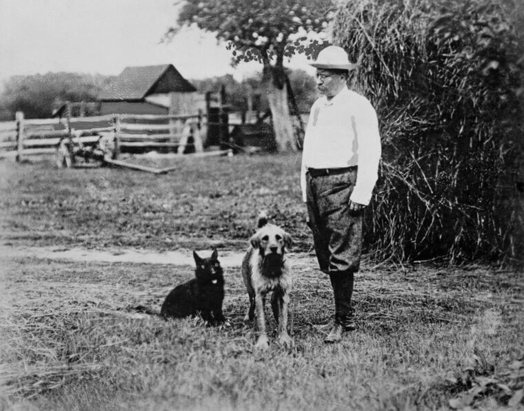Theodore Roosevelt - Chesapeake Bay Retriever