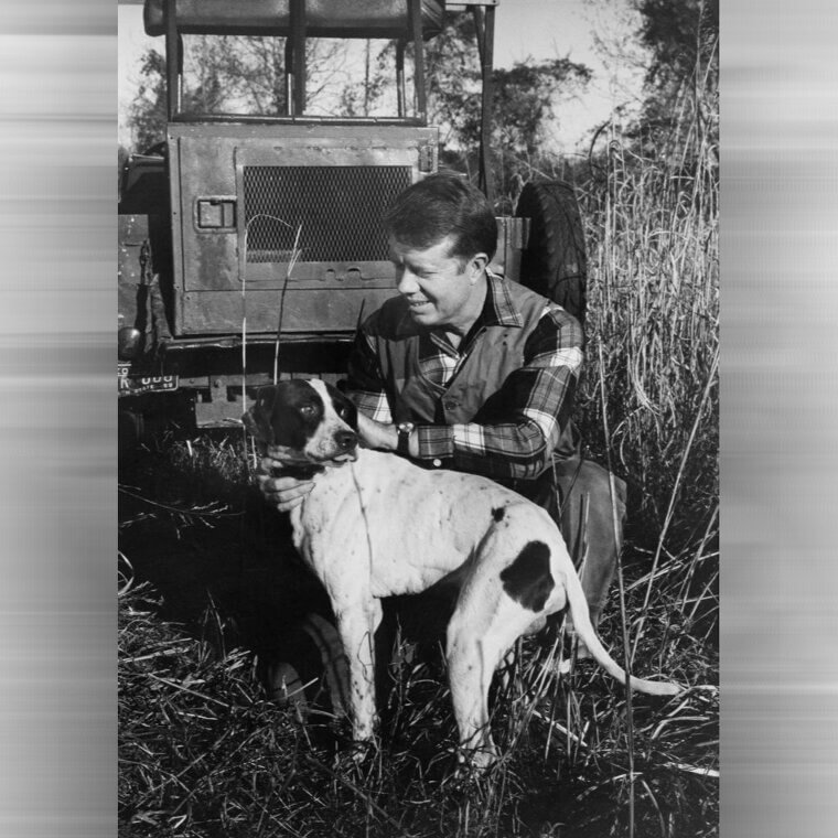 Jimmy Carter - Border Collie Mix