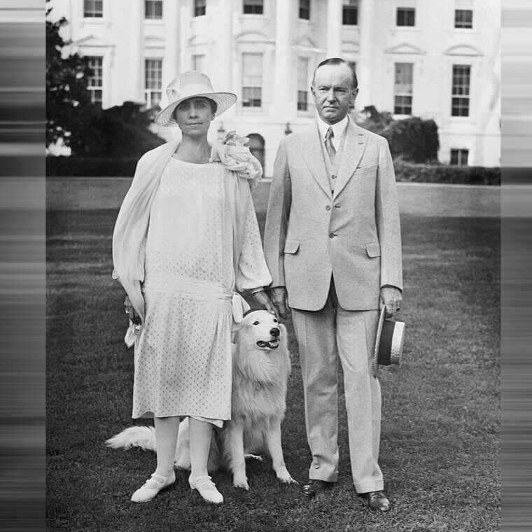 Calvin Coolidge - Border Collie
