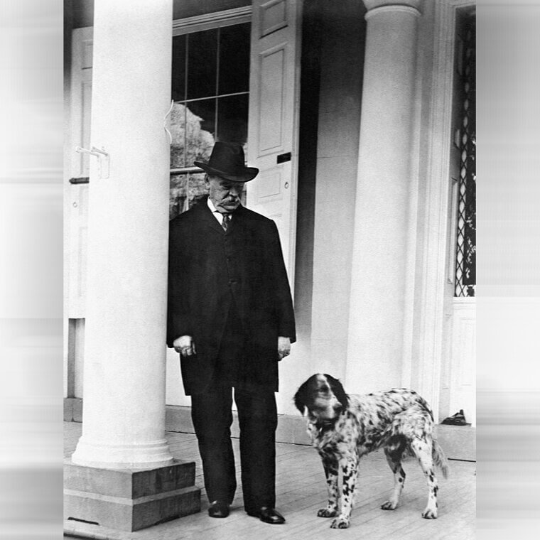 Grover Cleveland - Saint Bernard