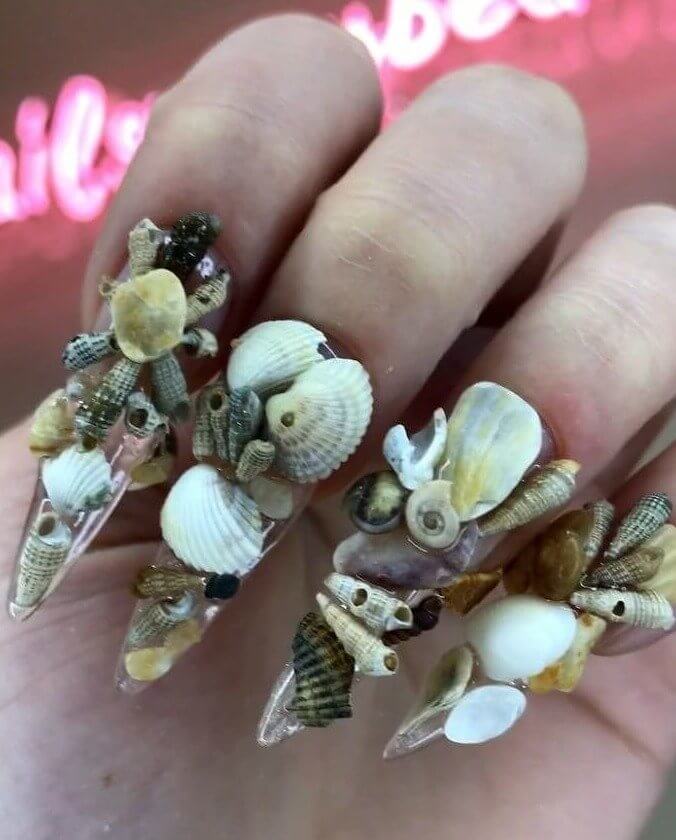 When You Run Out of Room for Your Seashell Collection