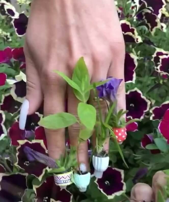 A Garden on the Go