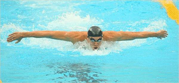 Even An Albatross Would Think the Wingspan on Michael Phelps Is Intimidating