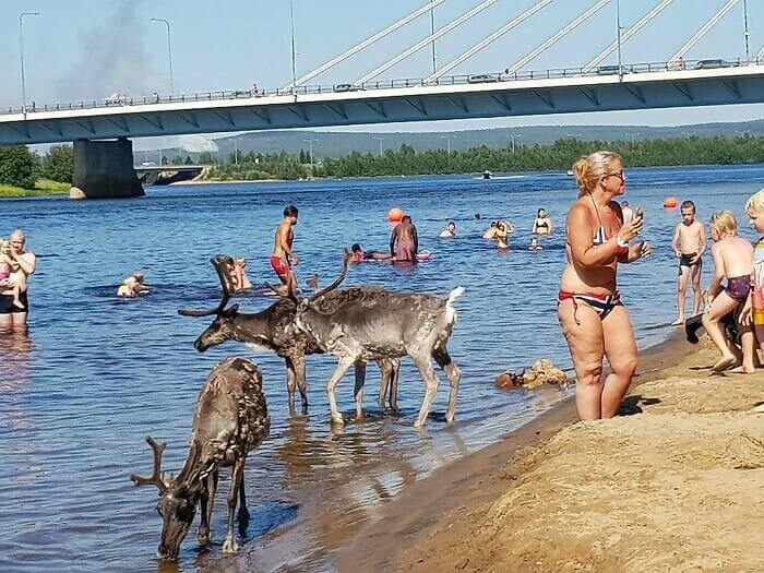 Heat Wave In Rovaniemi, Finland