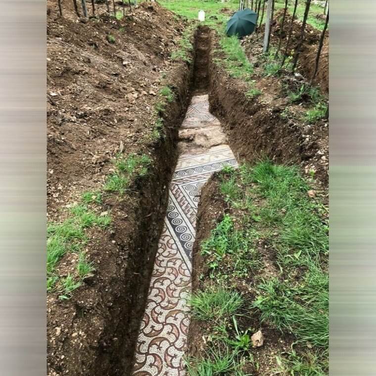 Roman Mosaic Villa Floor In The Rainforest