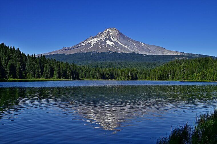 11. Oregon
