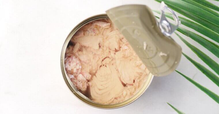 Canned Tuna