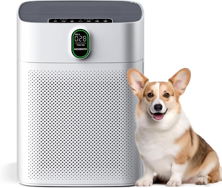 MORENTO Air Purifier for Large Rooms - Breathe Easy with Pet-Friendly Filtration - Now 13% Off!