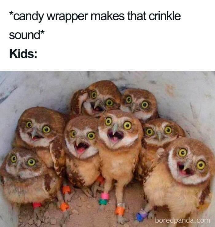 Is That Candy?!