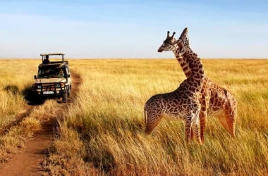 6 Amazing Travel Experiences That Should Be On Your Bucket List