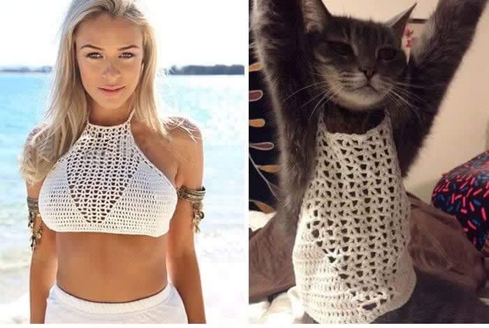 Crochet Cat